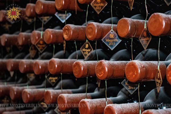 vintage rượu vang