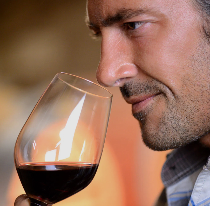 Mùi hương và mùi vị trong rượu vang Mùi hương và mùi vị trong rượu vang