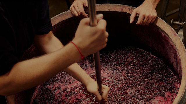 Quy trình làm rượu