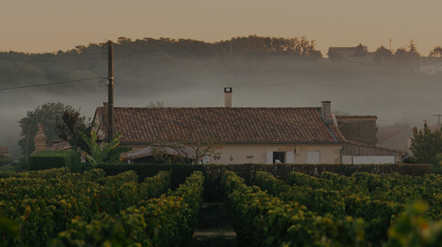 Vùng nguyên liệu